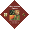 Pervenche Fleurs