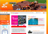 Capture Site Web